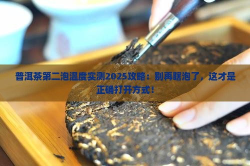 普洱茶第二泡温度