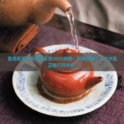普洱茶第二泡温度