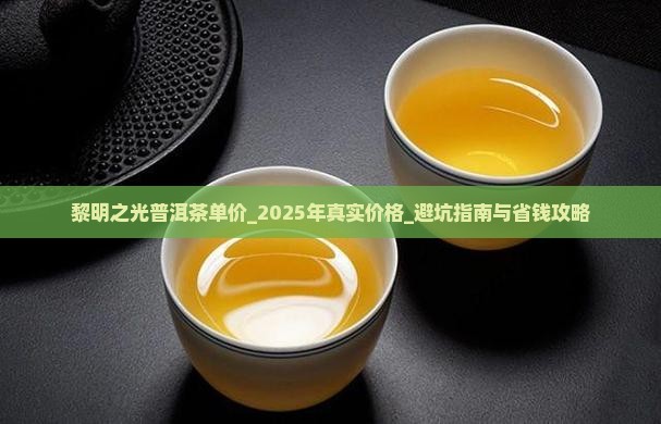 黎明之光普洱茶单价