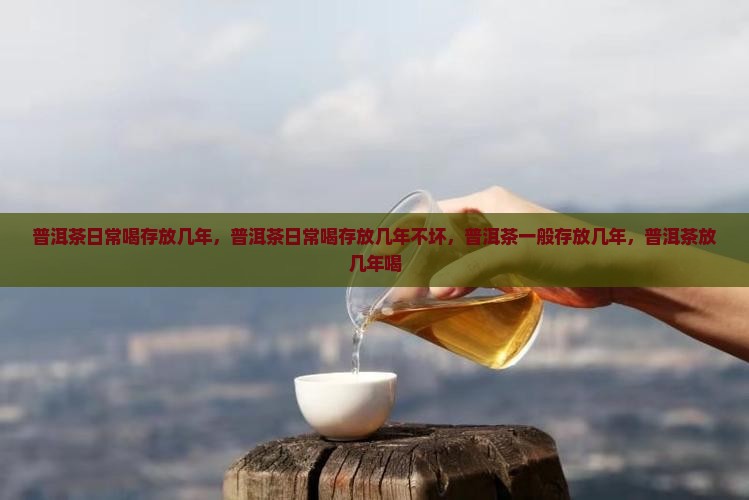 普洱茶日常喝存放几年