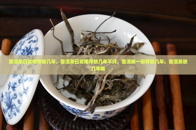 普洱茶日常喝存放几年