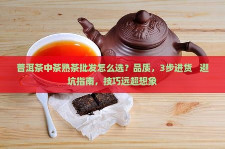 普洱茶中茶熟茶批发