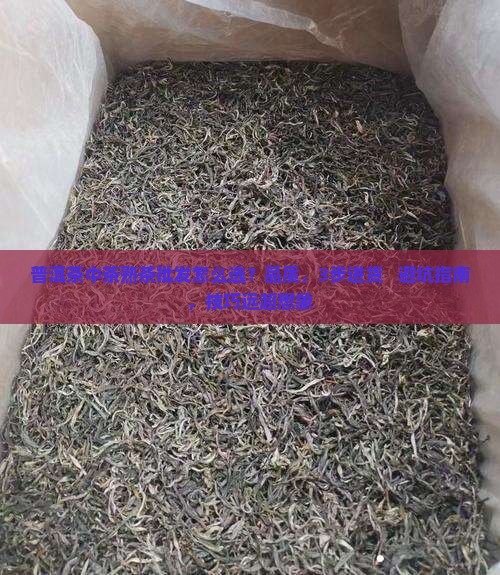 普洱茶中茶熟茶批发