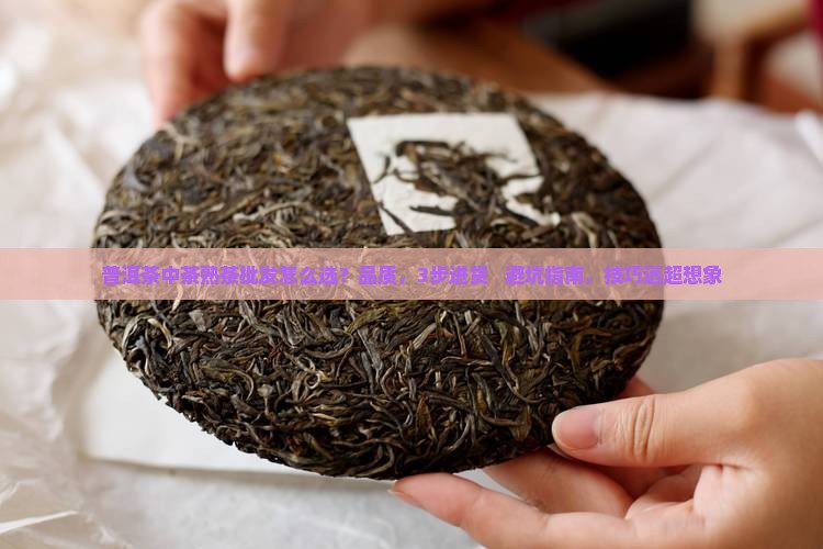 普洱茶中茶熟茶批发