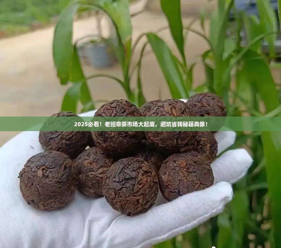 市面上老班章茶都是假的