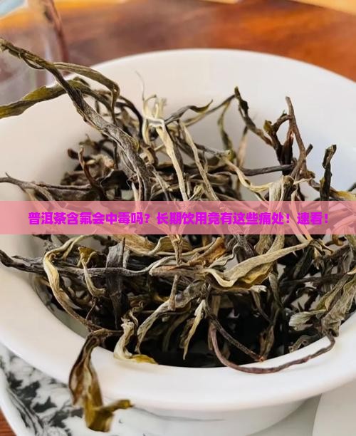 普洱茶含氟中毒