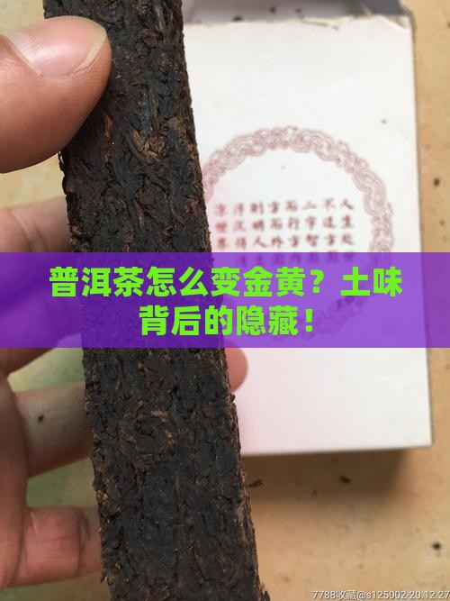 普洱茶有点金黄色土