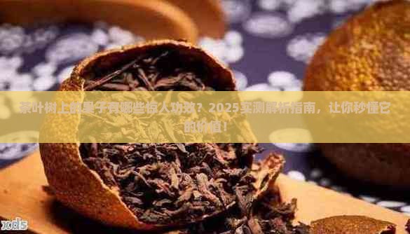 茶叶树上的果子功效与作用