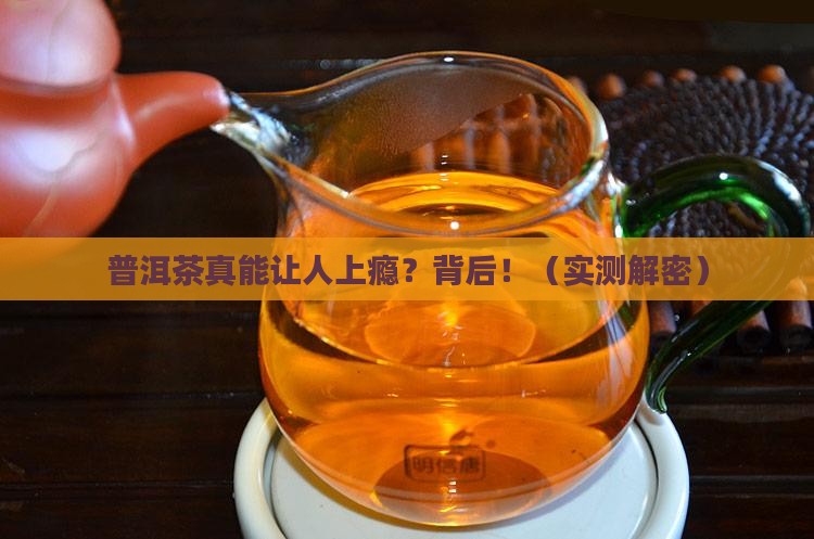 普洱茶能不能上瘾