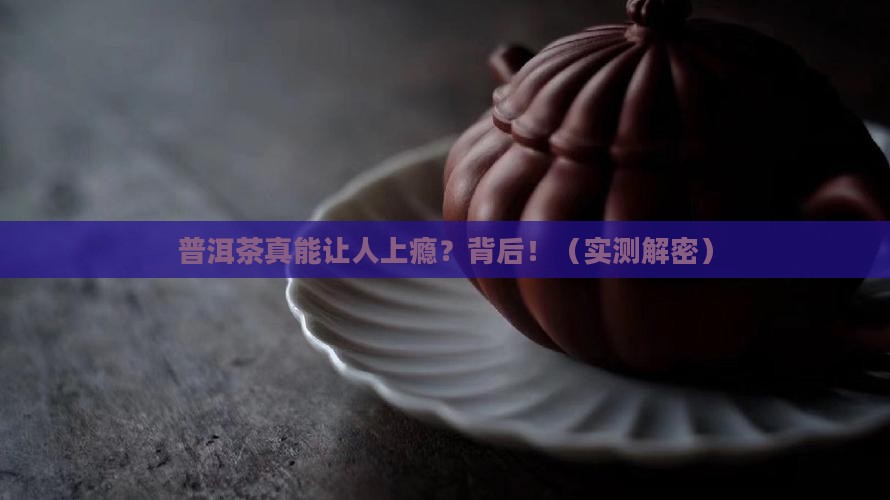 普洱茶能不能上瘾