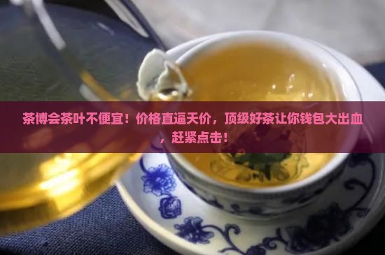 茶博会茶叶不便宜