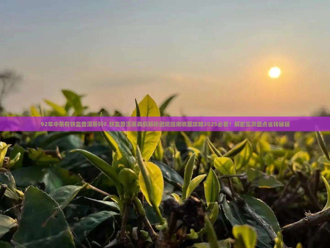 92年中茶有铁盒普洱茶吗