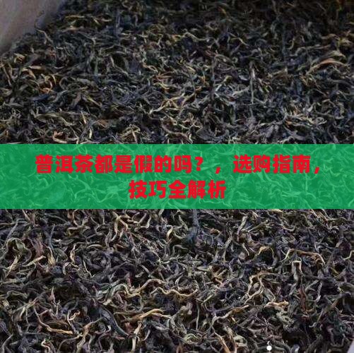 普洱茶都是假的吗
