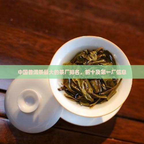中国普洱茶最大的茶厂排名