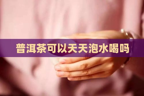普洱茶可以天天泡水喝吗