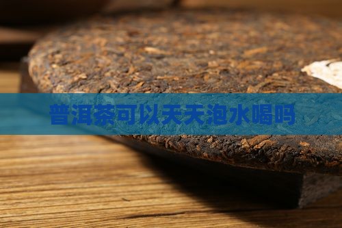 普洱茶可以天天泡水喝吗