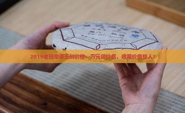 2019老班章茶王树价格