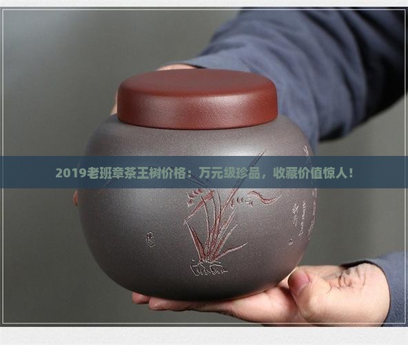 2019老班章茶王树价格