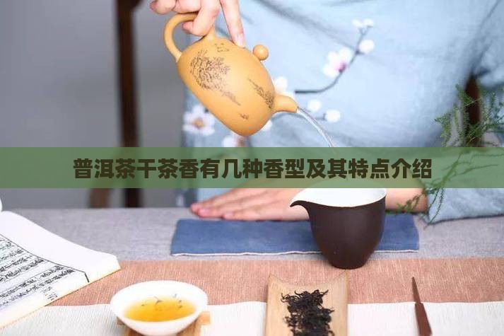普洱茶干茶香有几种香型