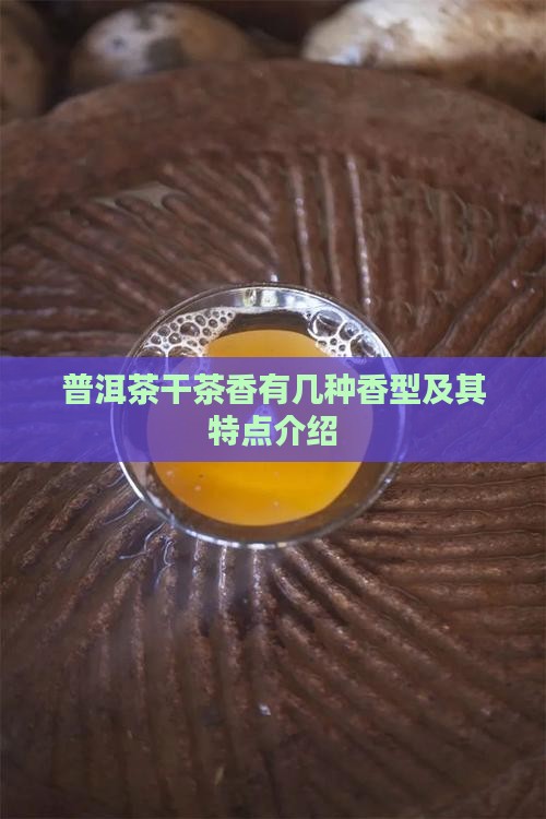 普洱茶干茶香有几种香型