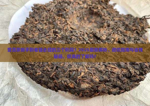 普洱茶的三个阶段
