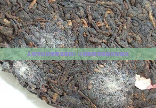 儿童可以饮用普洱茶吗？小孩喝普洱茶的好处探究