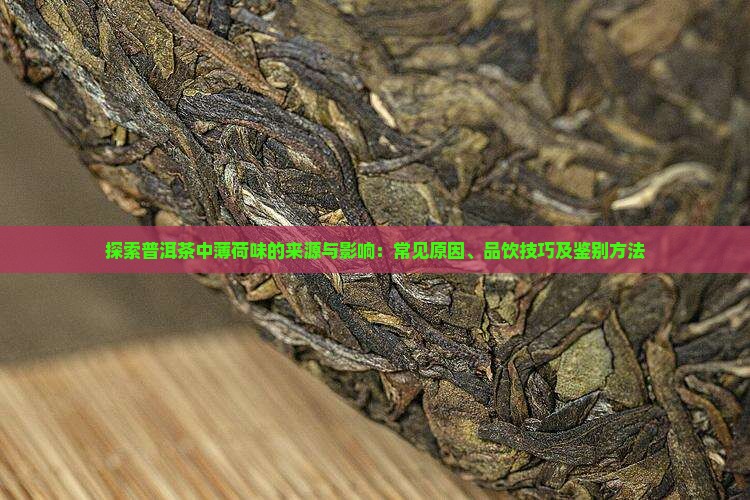 探索普洱茶中薄荷味的来源与影响：常见原因、品饮技巧及鉴别方法