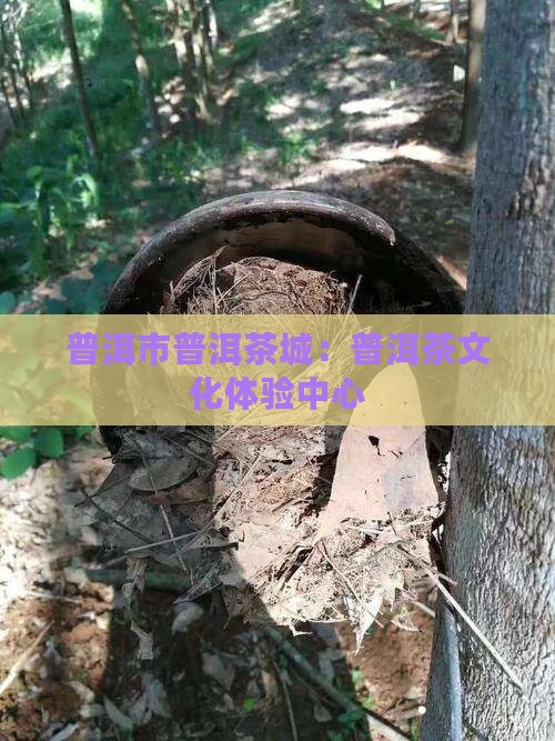 普洱市普洱茶城：普洱茶文化体验中心