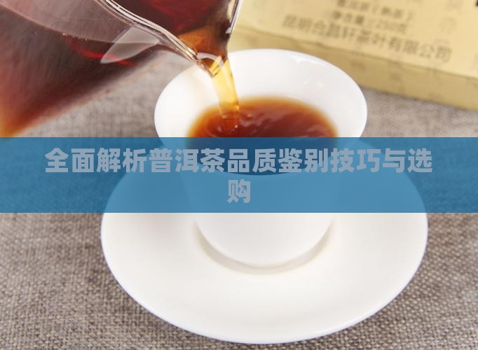 全面解析普洱茶品质鉴别技巧与选购