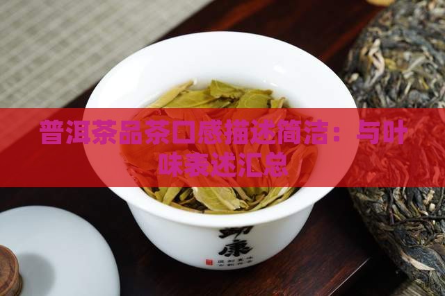 普洱茶品茶口感描述简洁：与叶味表述汇总