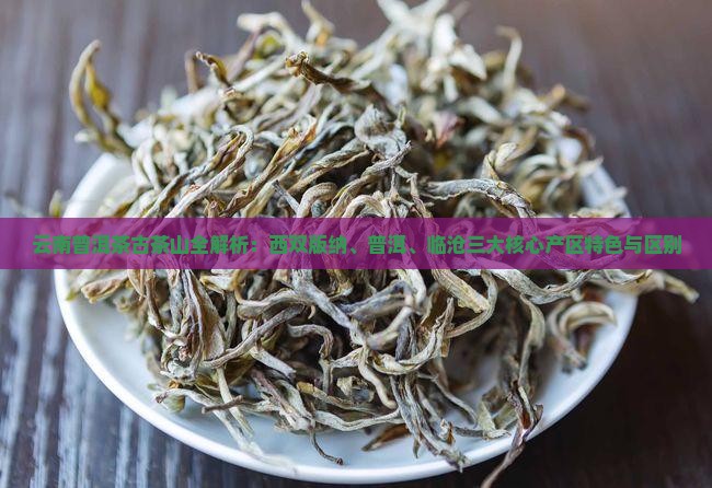 云南普洱茶古茶山全解析：西双版纳、普洱、临沧三大核心产区特色与区别