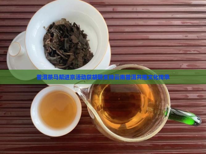 普洱茶马帮进京活动获胡明支持云南普洱共推文化传承
