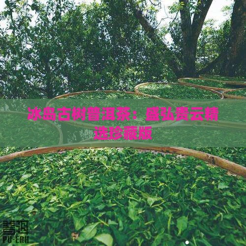 冰岛古树普洱茶：盛弘贵云精选珍藏版