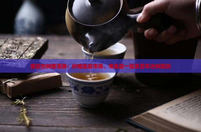 西安古树普洱茶：价格批发市场、专卖店一览及百年古树现状