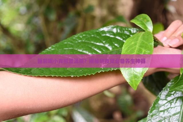 小青柑普洱茶睡前喝 小青柑普洱茶睡前喝
