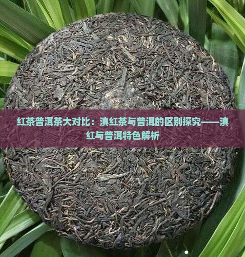 普洱茶什么滇红茶区别