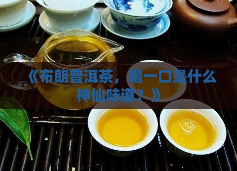 布朗普洱茶的味道