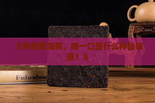 布朗普洱茶的味道