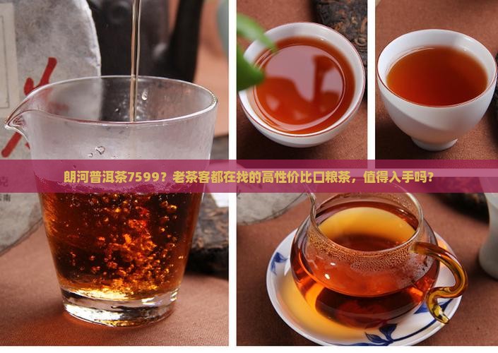 朗河普洱茶7599