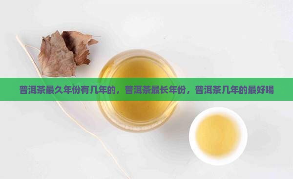普洱茶最久年份有几年的