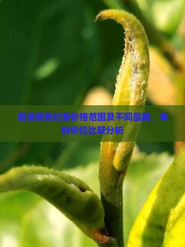 普洱茶熟红茶价位 普洱茶熟红茶价位