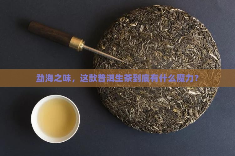 勐海之味普洱茶生茶