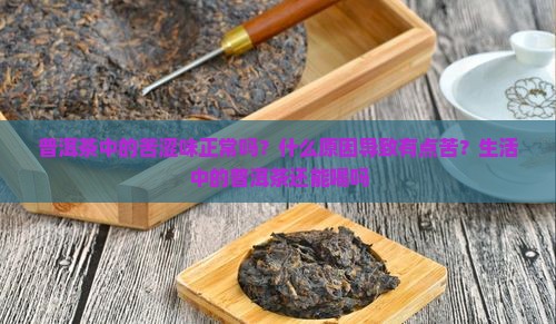 普洱茶苦涩味还能喝吗