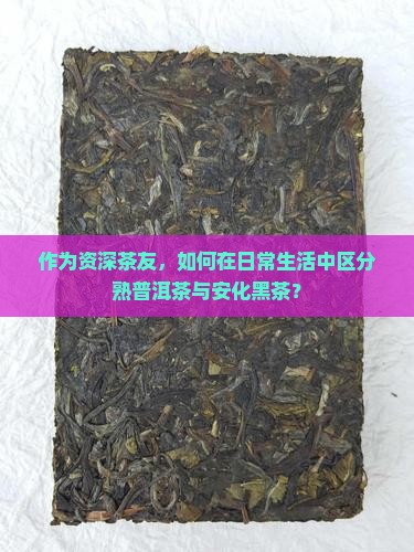 熟普洱茶和安化黑茶