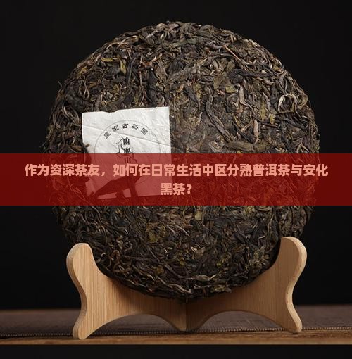 熟普洱茶和安化黑茶