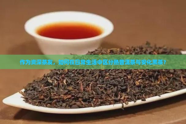 熟普洱茶和安化黑茶