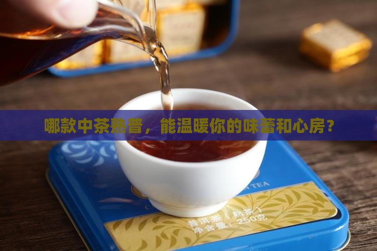 中茶熟普哪一款好喝