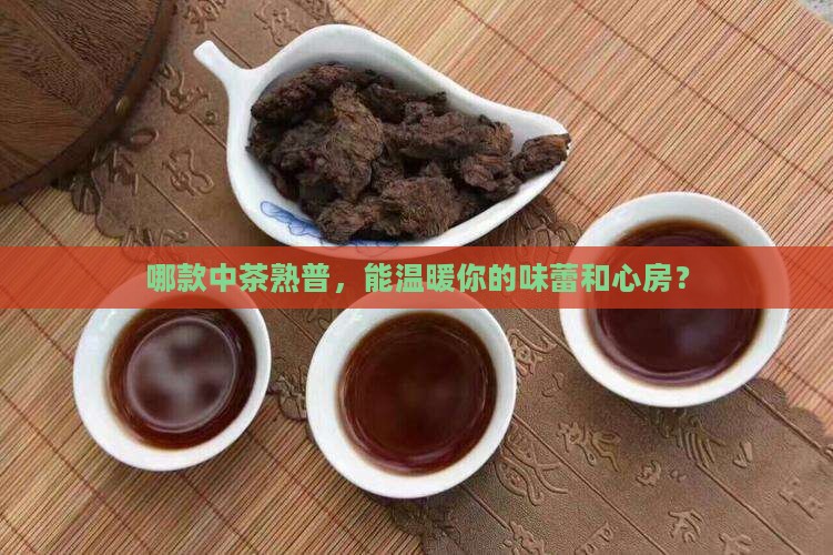 中茶熟普哪一款好喝
