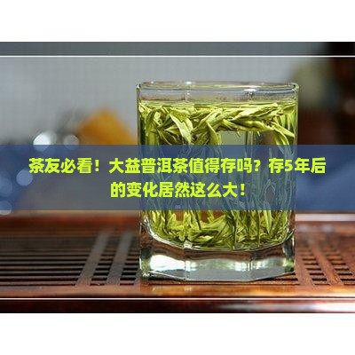 大益普洱茶值得存