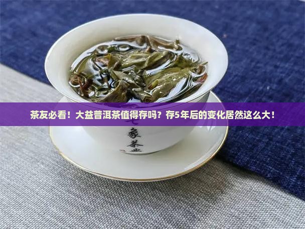 大益普洱茶值得存